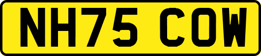 NH75COW