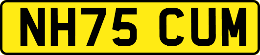 NH75CUM