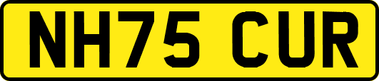 NH75CUR