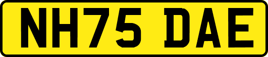 NH75DAE