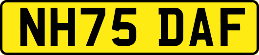 NH75DAF