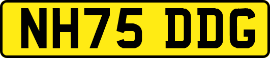 NH75DDG