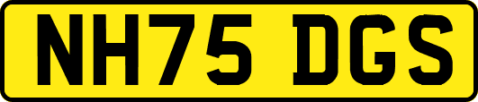 NH75DGS