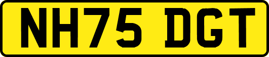 NH75DGT