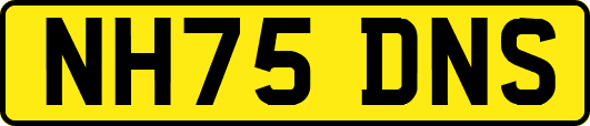 NH75DNS