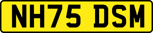NH75DSM