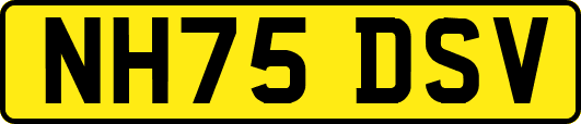 NH75DSV