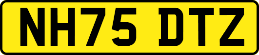 NH75DTZ