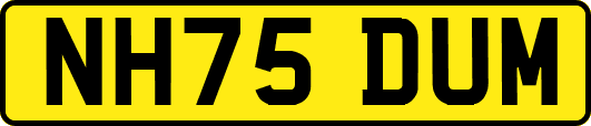 NH75DUM