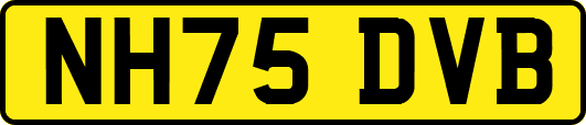 NH75DVB