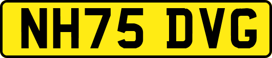 NH75DVG