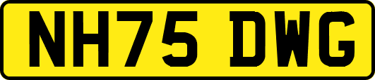 NH75DWG