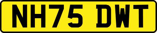 NH75DWT
