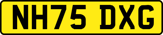 NH75DXG