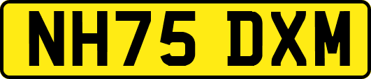 NH75DXM