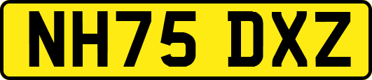 NH75DXZ