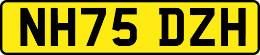 NH75DZH