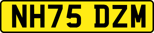 NH75DZM