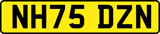 NH75DZN