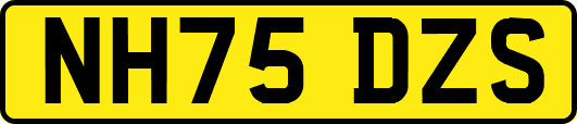 NH75DZS