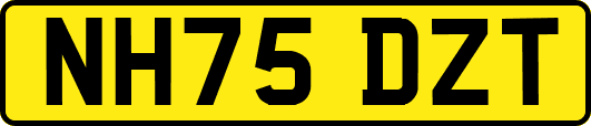 NH75DZT