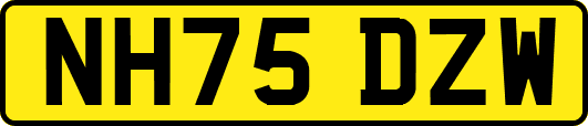 NH75DZW