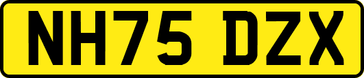 NH75DZX