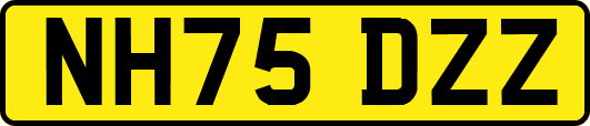NH75DZZ