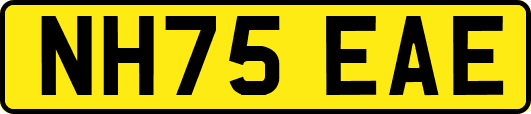NH75EAE