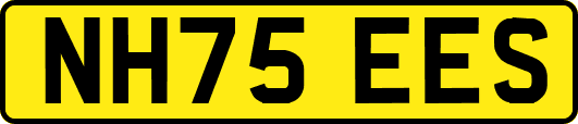 NH75EES