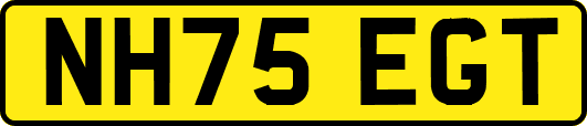 NH75EGT