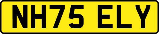 NH75ELY