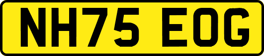 NH75EOG