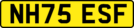 NH75ESF
