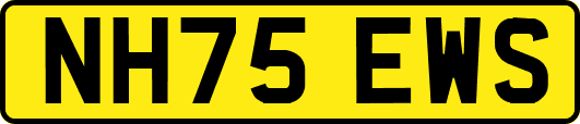 NH75EWS