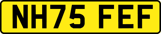 NH75FEF