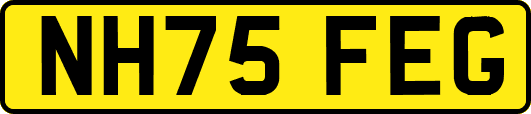 NH75FEG