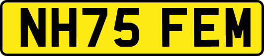 NH75FEM