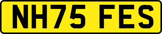 NH75FES