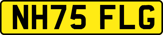 NH75FLG