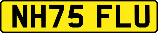 NH75FLU