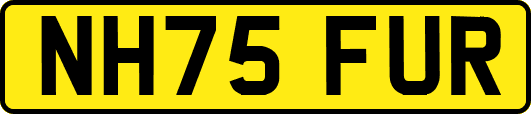 NH75FUR