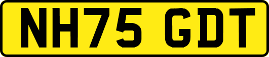 NH75GDT