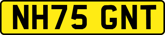NH75GNT