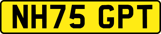 NH75GPT