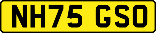 NH75GSO