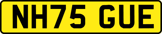 NH75GUE