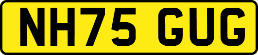 NH75GUG