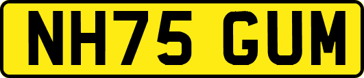 NH75GUM