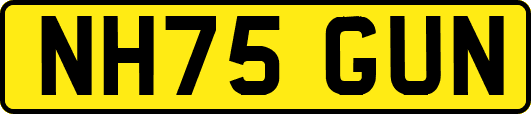 NH75GUN